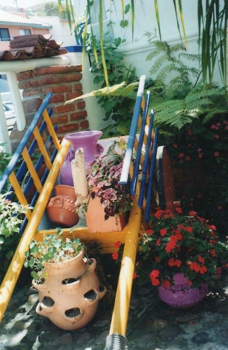 Amazingly Romantic Vacation For Your Honeymoon Tijuana Kültér fotó